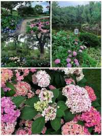 遇見綠島公園，城市中的童話世界
