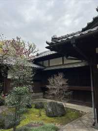 在東京代官山發現一處小眾秘境