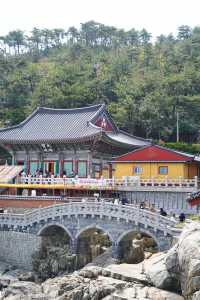 釜山市區一日遊：坐膠囊小火車遠觀海雲臺