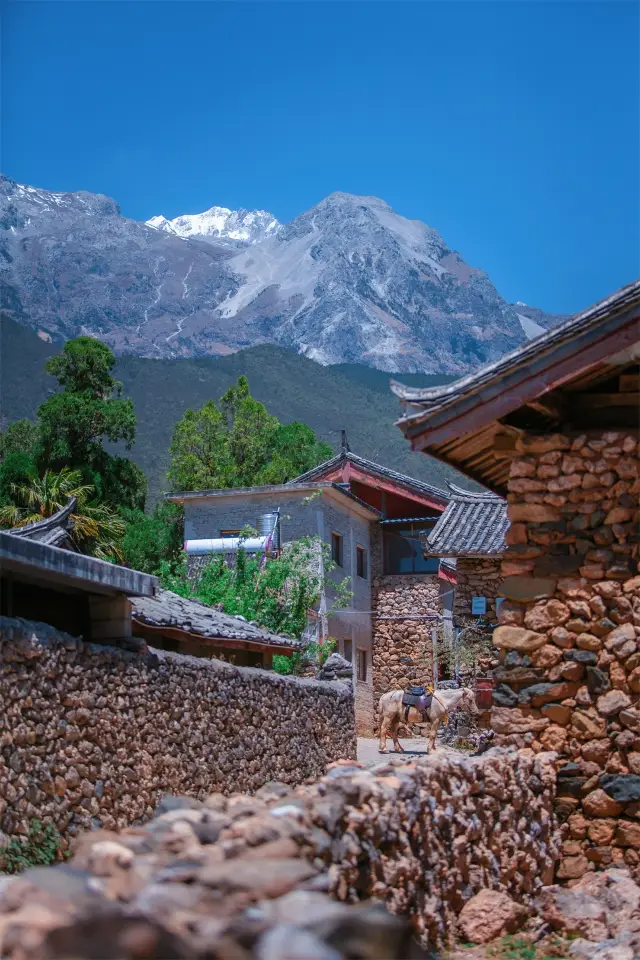 雲南のマイナーな旅行ガイド、雪山の麓にある石の村の探訪