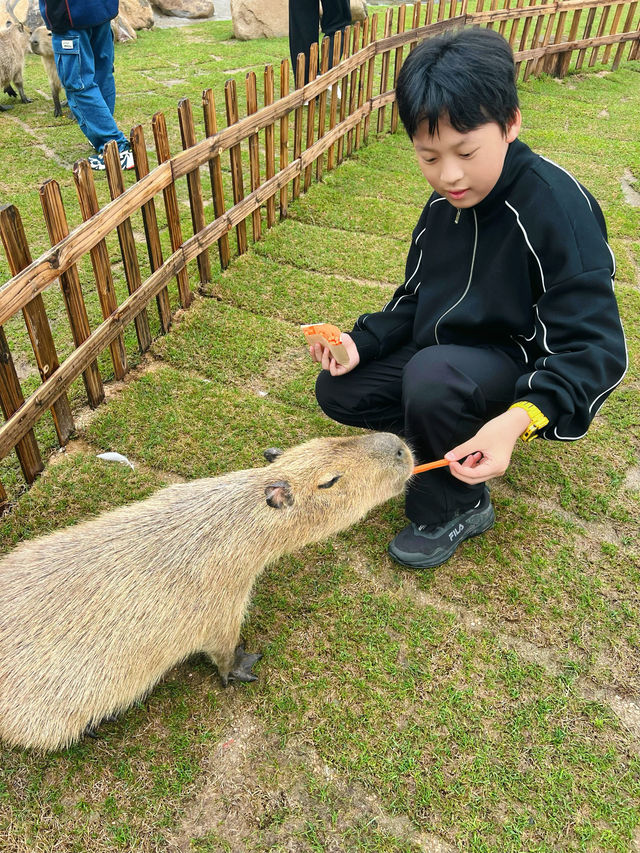 浙江人有自己的綠野仙蹤後悔沒有早點來這兒