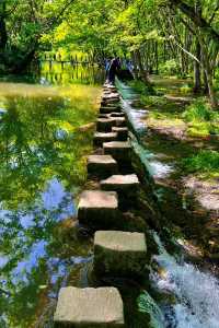 夢迴古徽州｜西溪南古村｜誤入桃花源記