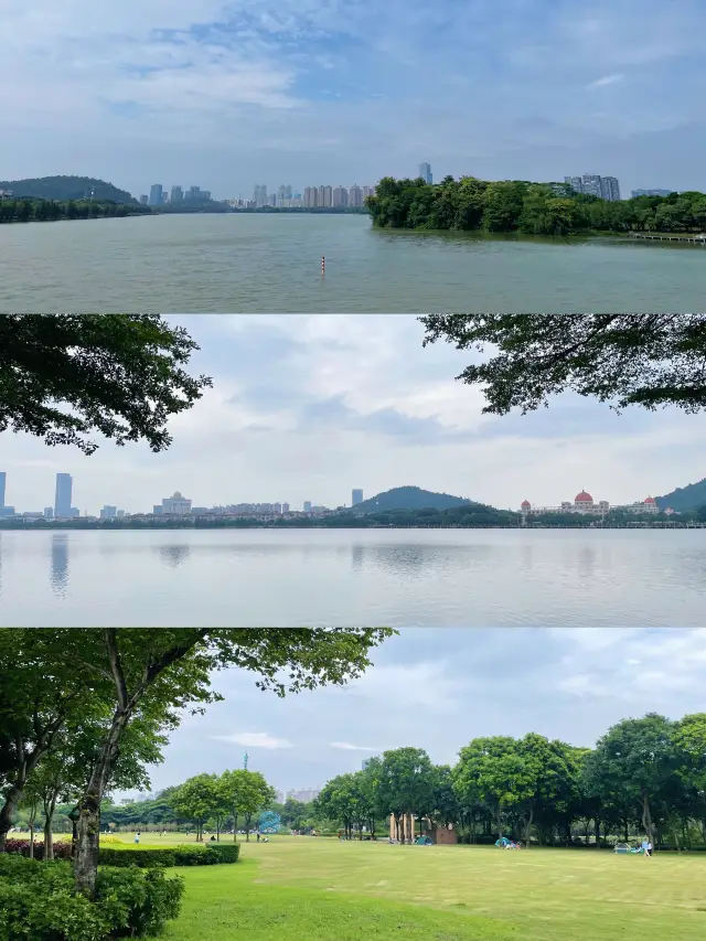 You must visit this amazing park, it's perfect for camping and flying kites🪁