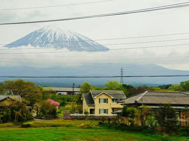 富士山下的櫻花依舊浪漫，你可安好