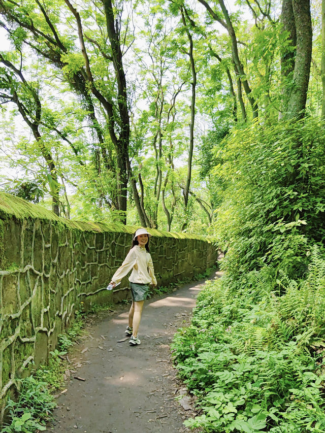 一定不能錯過重慶輕軌直達，夏季清涼徒步