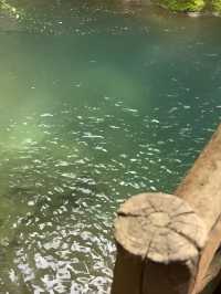 打卡香水河