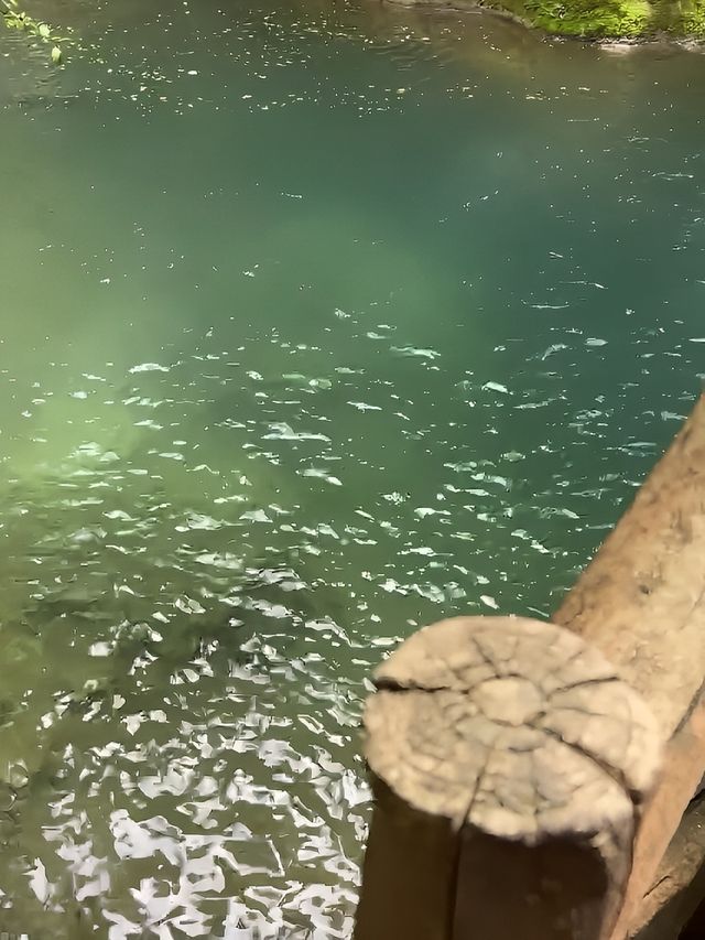 打卡香水河
