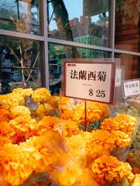 春日鮮花開滿街 | in旺角花墟