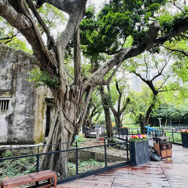 打卡澳門網紅旅遊點：益隆炮竹廠舊址