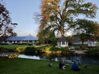 新西蘭基督城-夢娜維爾花園