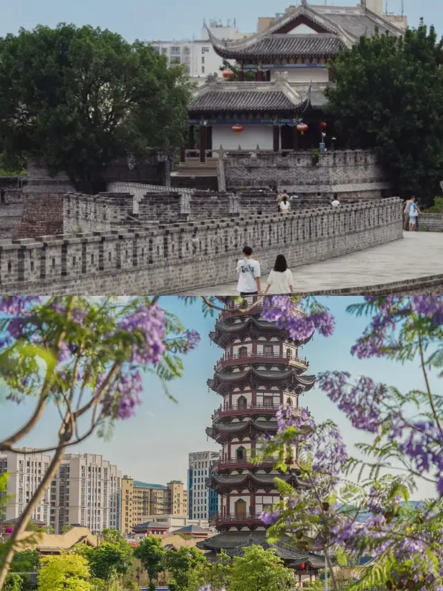 Xichang, a city filled with blooming Jacaranda trees