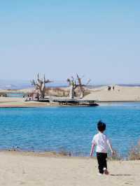 烏海夏日旅遊｜沙漠裡玩水上項目 坐船打卡網紅枯樹