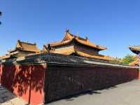 春回大召，陽光正好