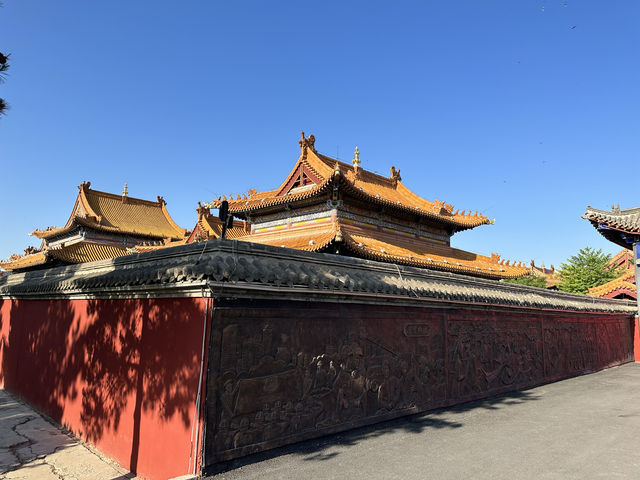 春回大召，陽光正好