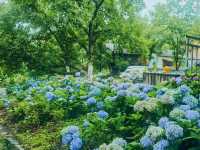 雲上村莊，塵世外的世外桃源