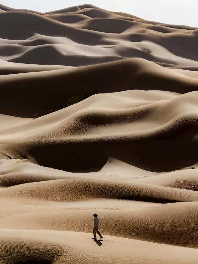Step into the real-life 'Dune' on a team-building journey across the Kubuqi Desert