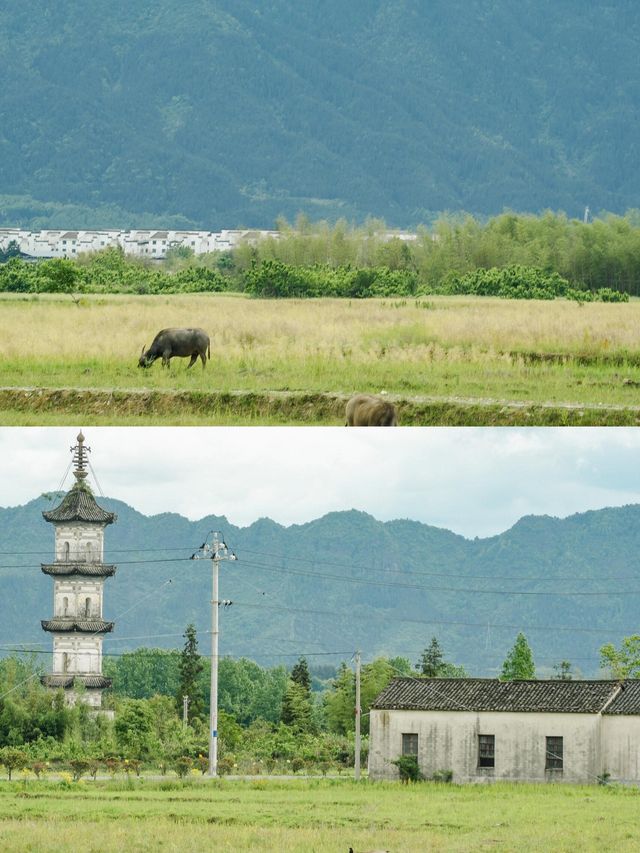 安徽碧山村 遠離城市喧囂的小眾文藝村落