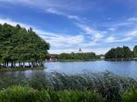 真是寶藏地—人少景美的巴城生態濕地公園