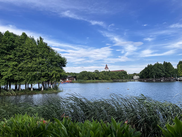 真是寶藏地—人少景美的巴城生態濕地公園
