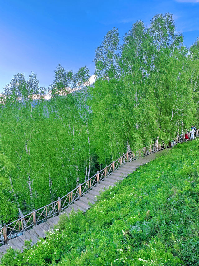 新疆禾木美麗峰，夏日避暑的夢幻之地