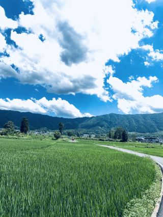 黃山錯峰一日遊！免門票小眾網紅地live圖