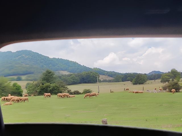 尋甸鳳龍山!!走一走徐霞客走過的路～