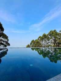 🌟 Munnar Marvels: Luxury Amidst the Clouds 🌿🏨
