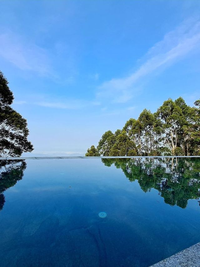 🌟 Munnar Marvels: Luxury Amidst the Clouds 🌿🏨