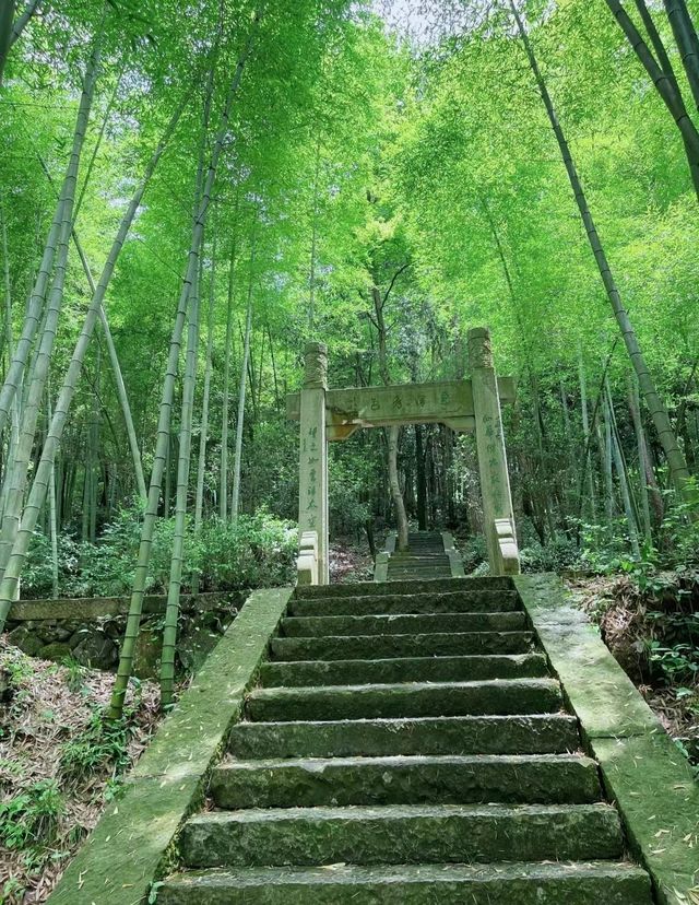 仙華山