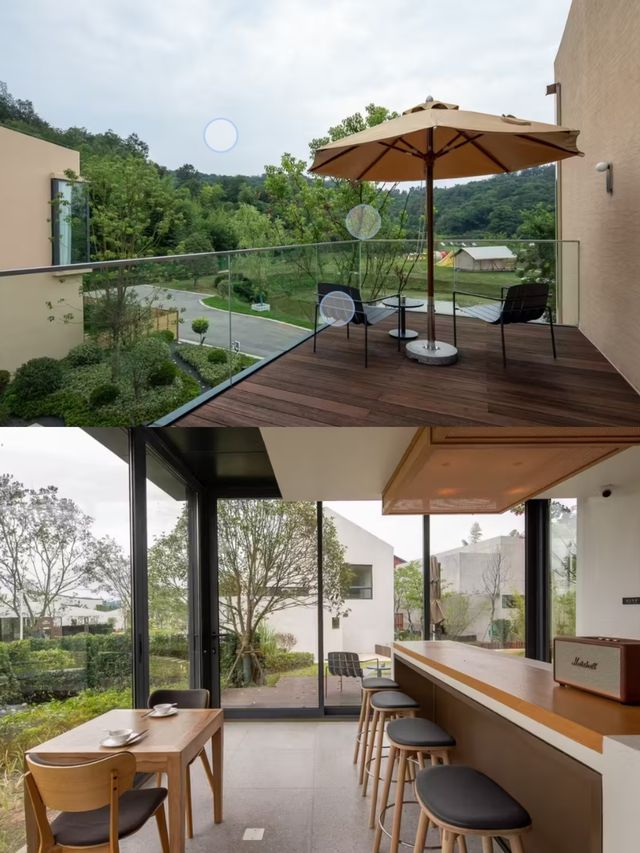 大樂之野|合肥以西50公里，有個桃花坞