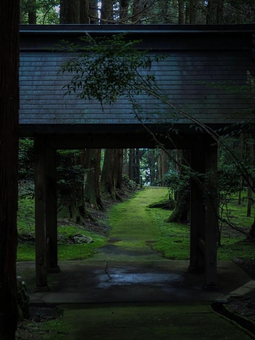 倖田來未のチケット(兵庫県・2024/8/31(土)) | アクリエひめじ