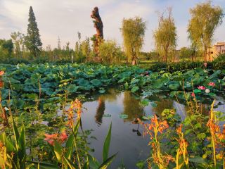 Xinyu Yansong's Hometown | Jieqiao Ancient Village Check-in Guide