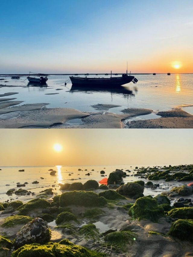徐聞海泉民宿——濱海之畔的溫柔夢境