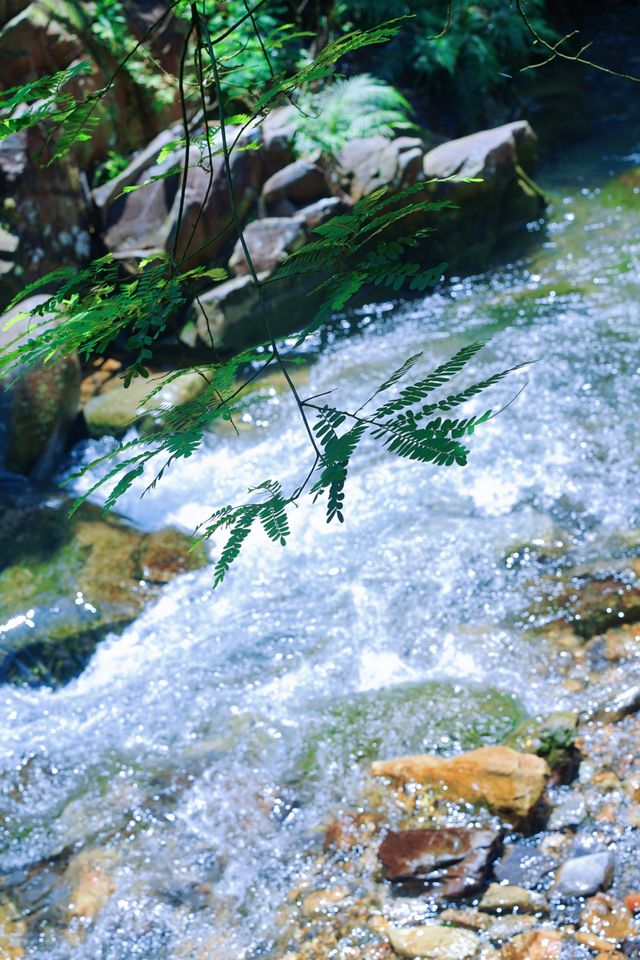 廣州周邊-夏日避暑親水勝地