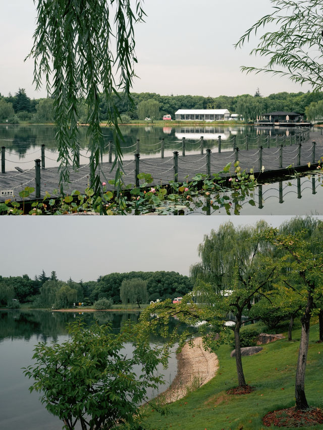 滬上國賓級享受｜東郊宮廷式私享度假花園