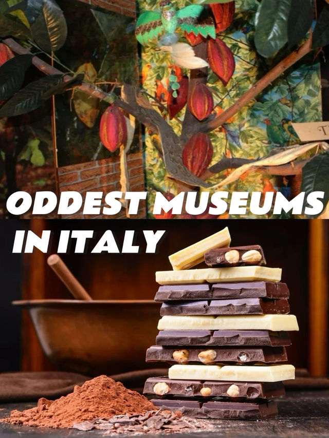 🇮🇹 Quirky Museums to Save Your Every Boring Weekend in Italy