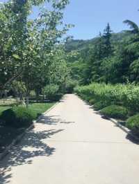 山海之間威海赤山｜山東暑假寶藏避暑聖地