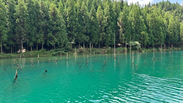 安順水下森林|潛水槳板的寶藏小眾地