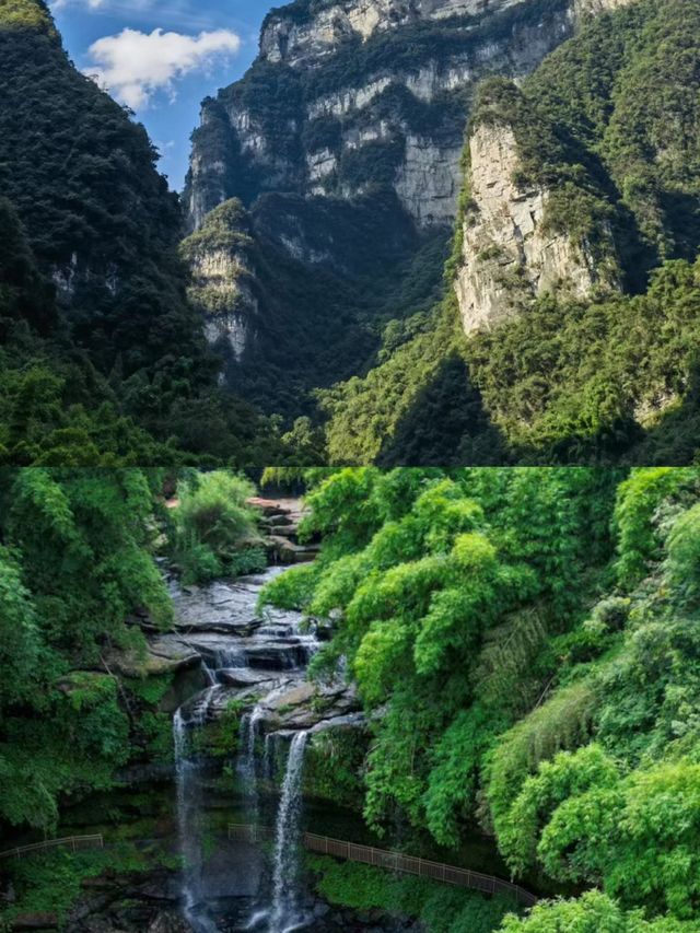 瀑布,溪流,竹海,避暑絕佳之地! 瀑布,溪流,竹海,避暑絕佳之地!