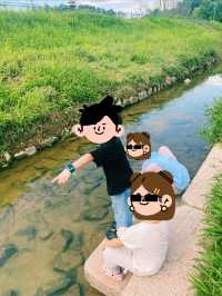 一面是湖，一面是塔，西麗湖環湖綠道美絕了！