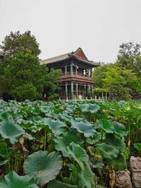 在路上：古蓮花池——中國十大名園之一。