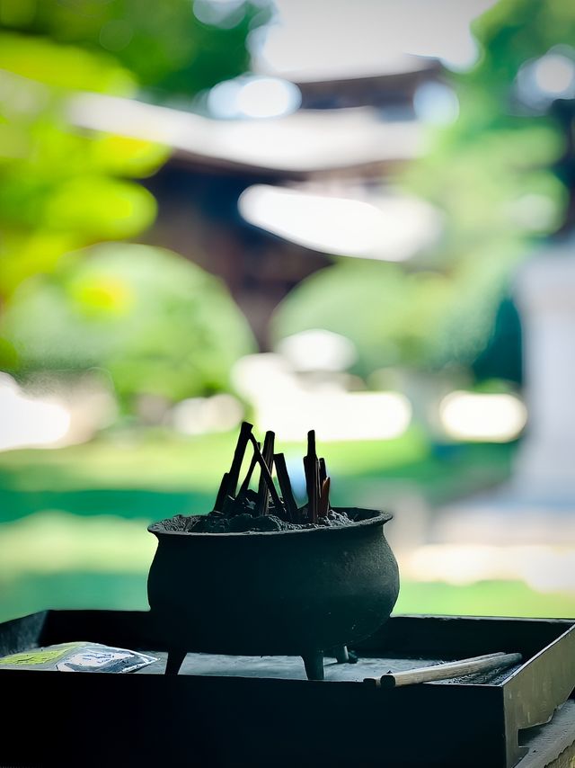 魔都最美寺廟|寶山淨寺，夢迴大唐。