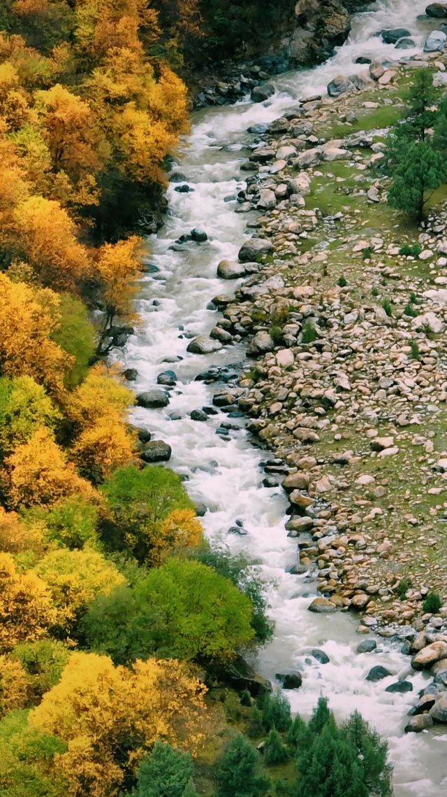 山河已秋｜祁連山冰溝河景區。