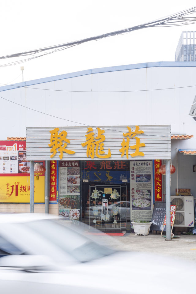 品味傳統,享受地道順德風味。 品味傳統,享受地道順德風味。
