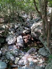徒步榉根嶺古道丨千年古道丨國慶節避擁遊玩的好地方。