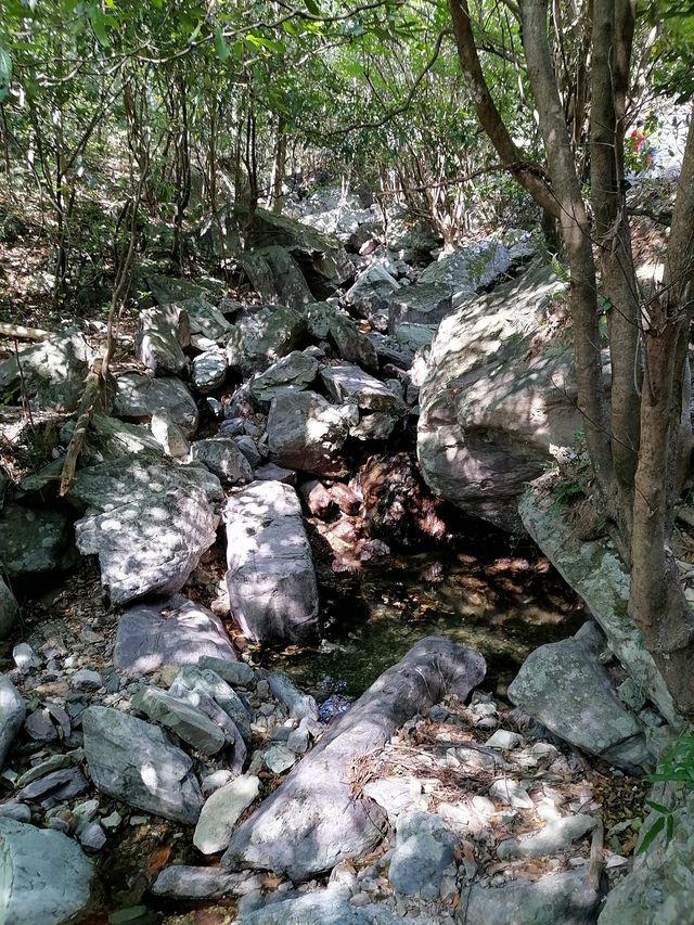 徒步榉根嶺古道丨千年古道丨國慶節避擁遊玩的好地方。
