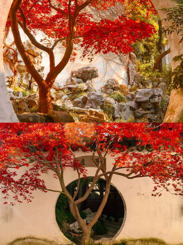 江蘇蘇州園林，秘密美景等您來發現？。