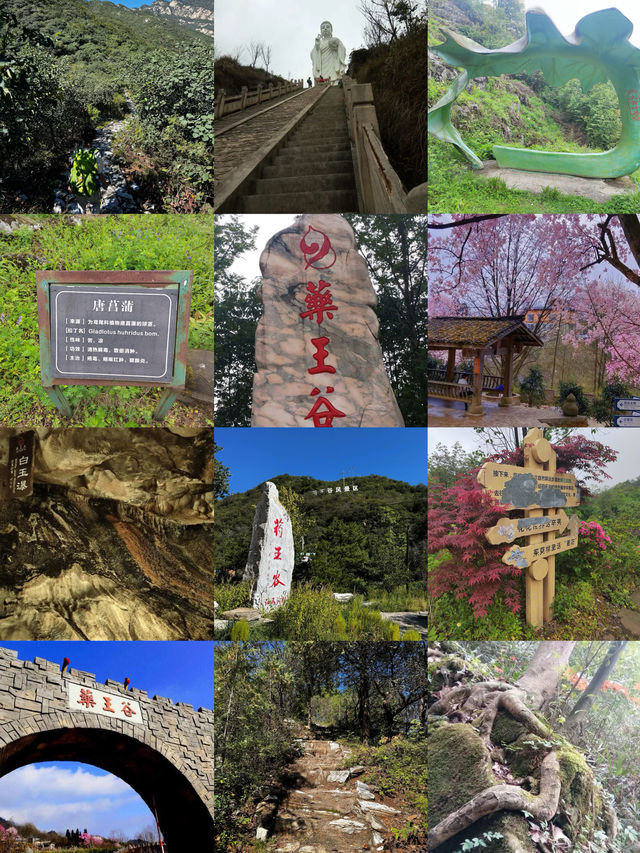 藥王谷。
