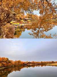巴楚縣紅海景區胡楊島是一處令人流連忘返的自然美景勝地。