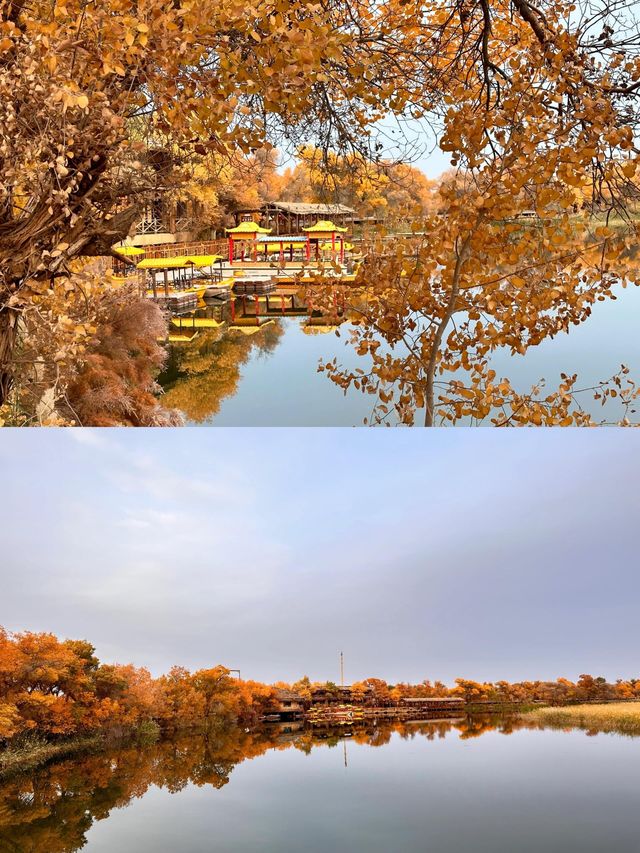 巴楚縣紅海景區胡楊島是一處令人流連忘返的自然美景勝地。